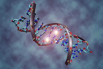 Image by Christoph Bock/Max Planck Institute for Informatics via Wikimedia Commons. Depicts a DNA molecule that is methylated on both strands on the centre cytosine.