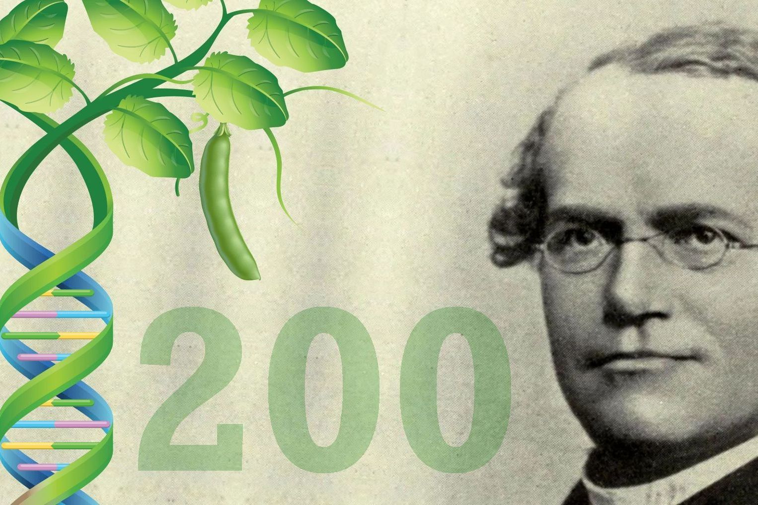 Celebrating the 200th birthday of genetics pioneer Gregor Mendel (1822-1884).
